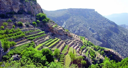 الجبل الأخضر